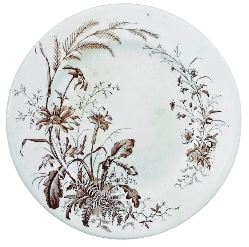 Spring Flowers by Whittaker & Co. 