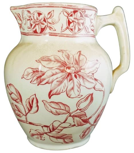 Clematis by T. G. Booth 