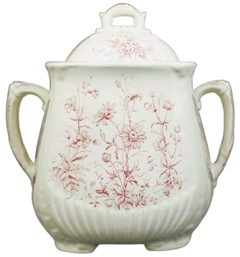 Spring Flowers by Whittaker & Co. 