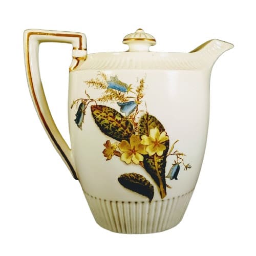 Primrose by George Jones & Sons 