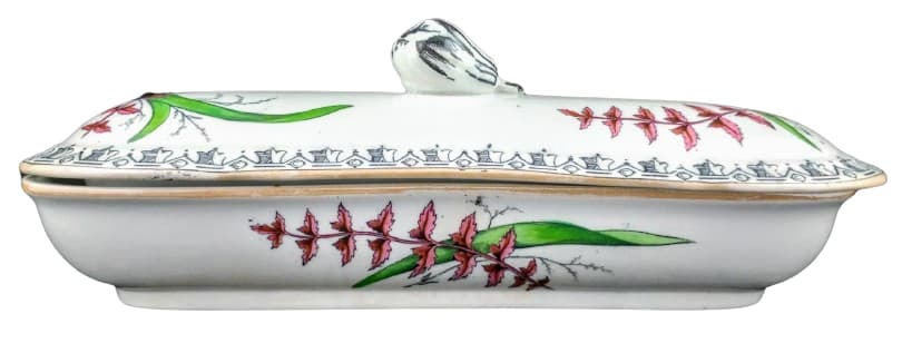 Fern by Liddle Elliot & Son, Image 1.