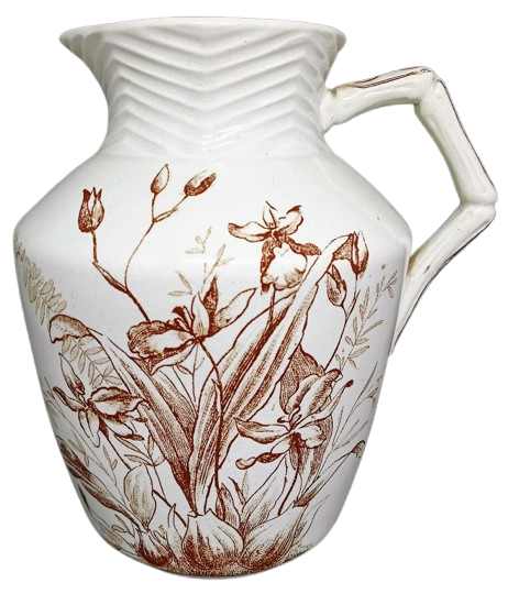 Orchid by F. J. Emery 