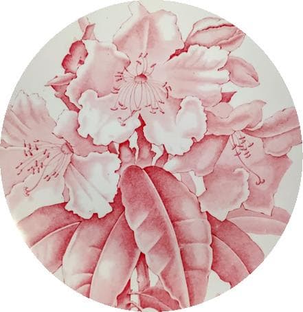 Kew by Brown-Westhead, Moore & Co.  Image: Pattern