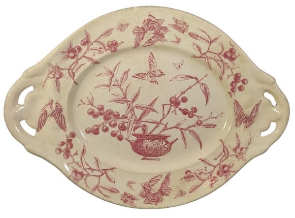 Privet by Baker & Co. 