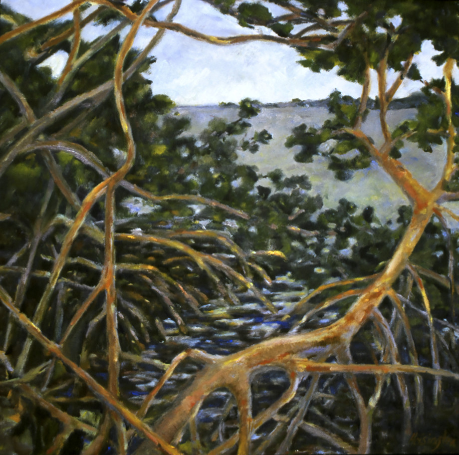 Mangroves by Kit Hoisington 