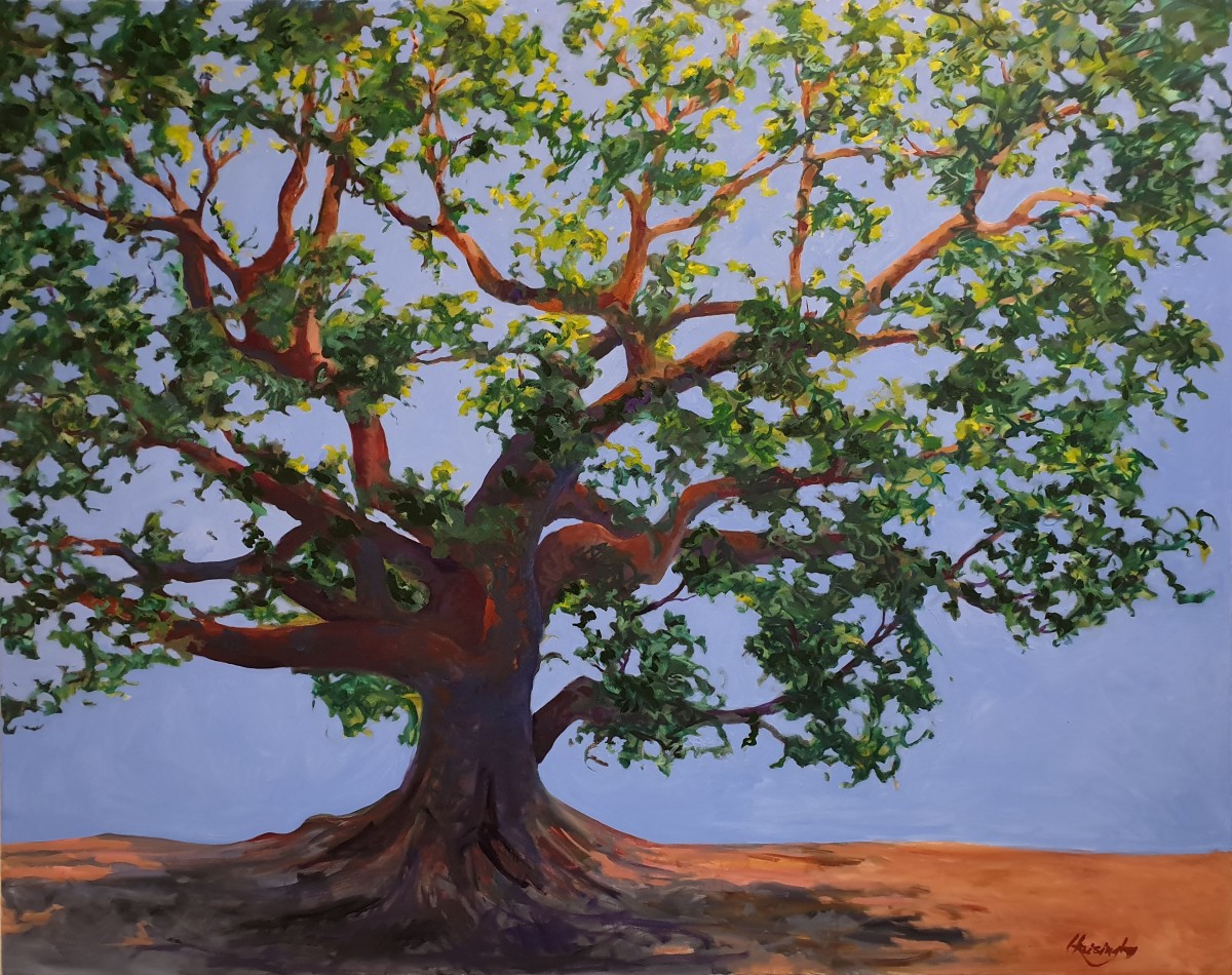 Backlit Beauty by Kit Hoisington 