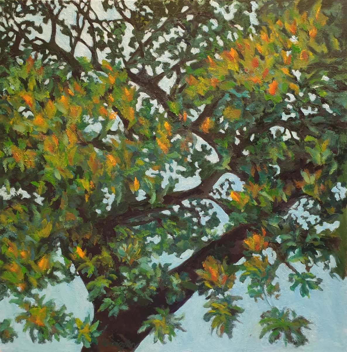 Big Branch by Kit Hoisington 