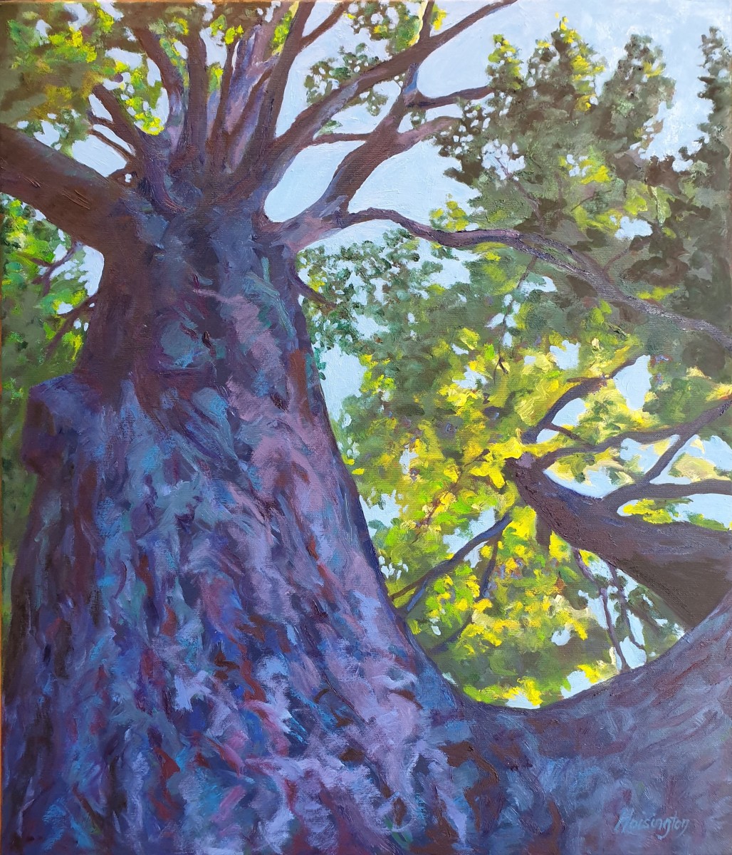 Human Perspective by Kit Hoisington 