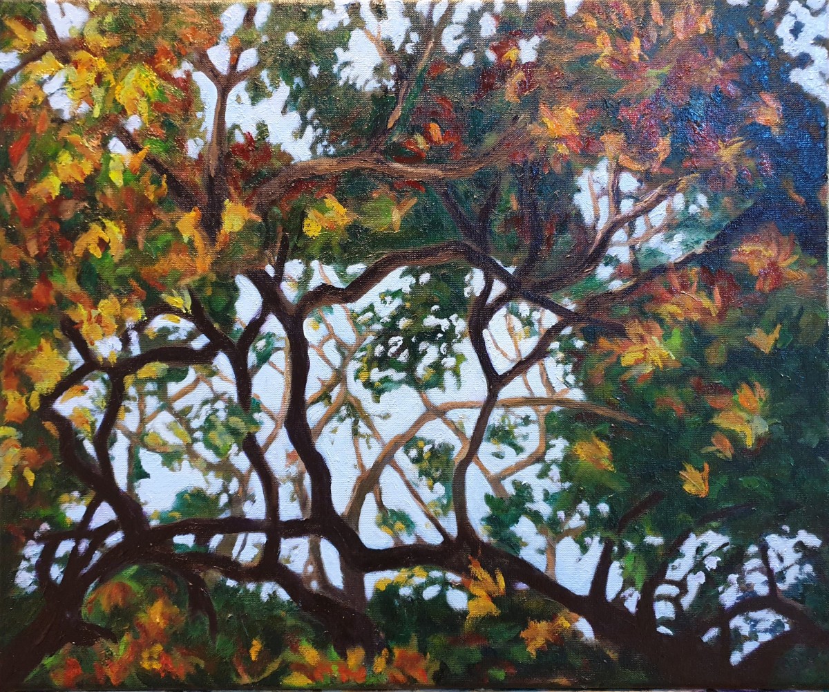 Autumn Angophora by Kit Hoisington 