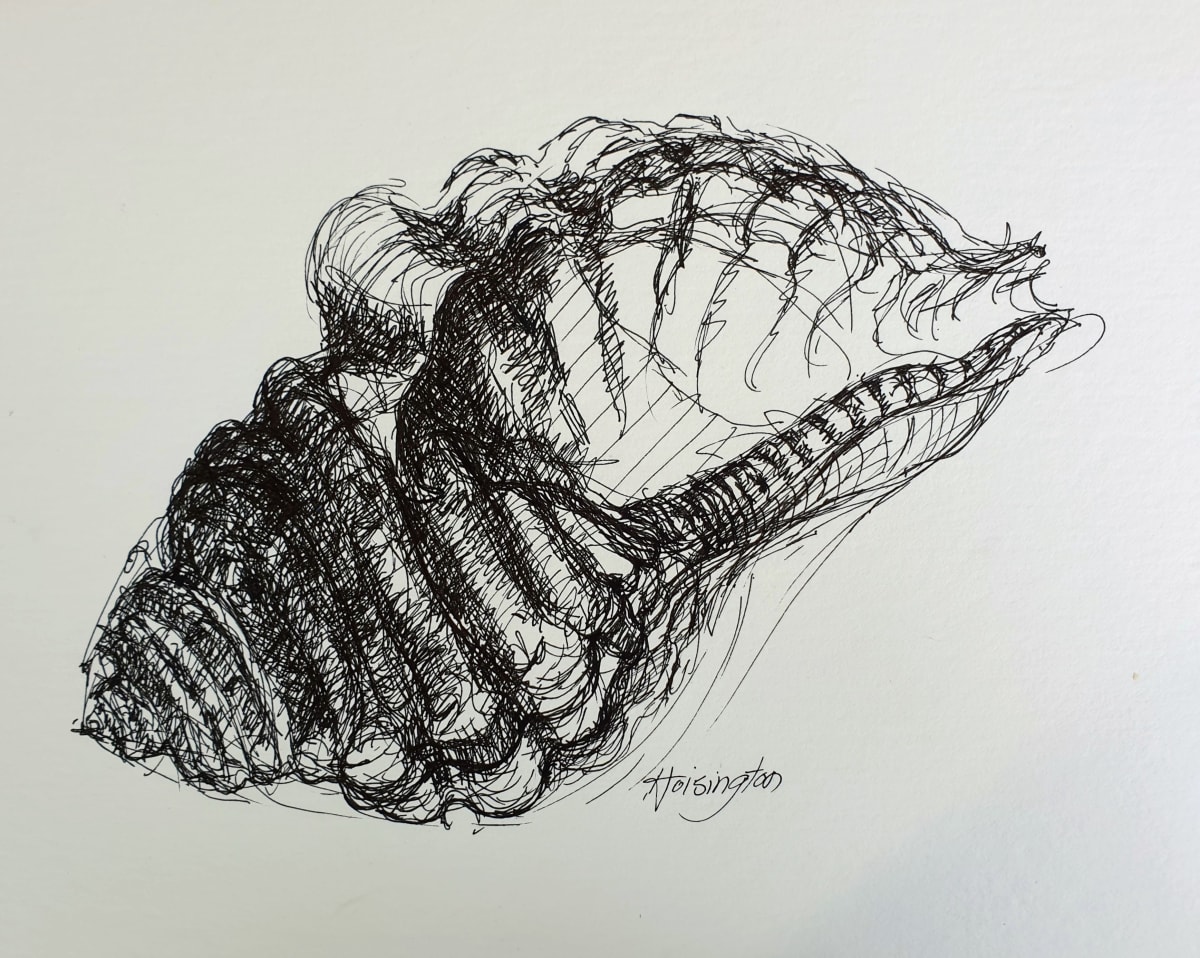 Narrabeen Shell, Image 1.