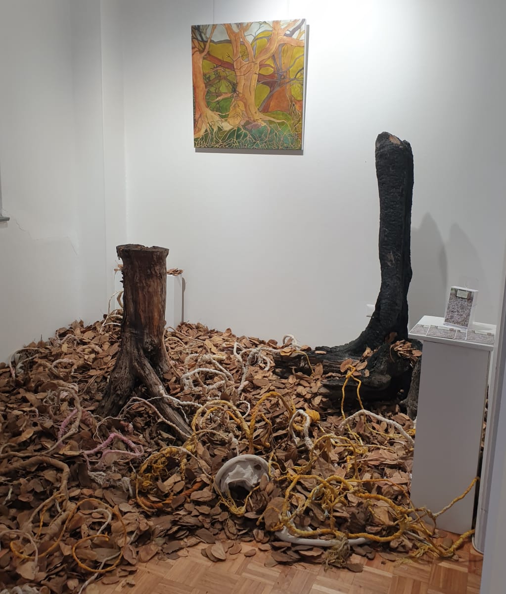Beneath Our Feet, Second Version by Kit Hoisington  Image: Installation in Chrissie Cotter Gallery, a small room to itself, open to incoming visitors.