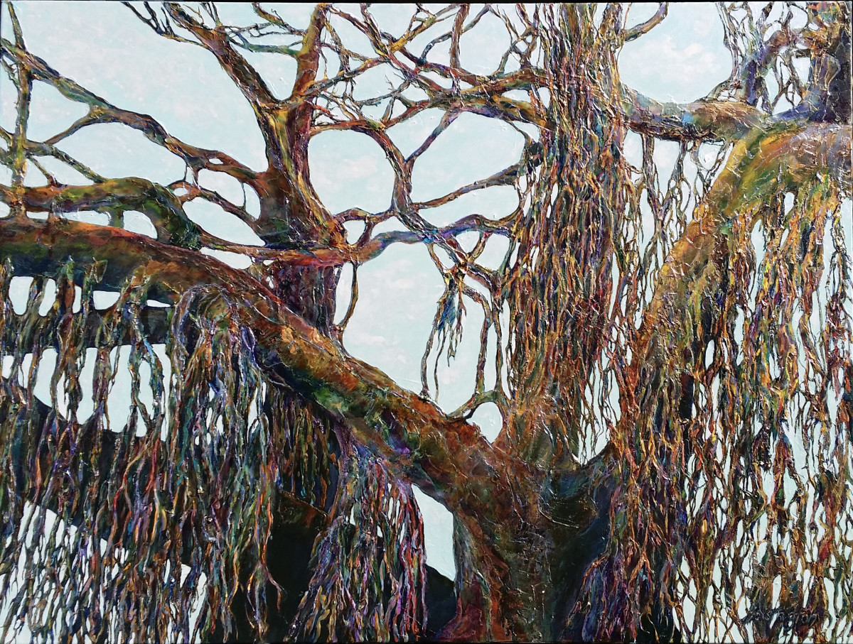 Balmoral Banyan by Kit Hoisington 