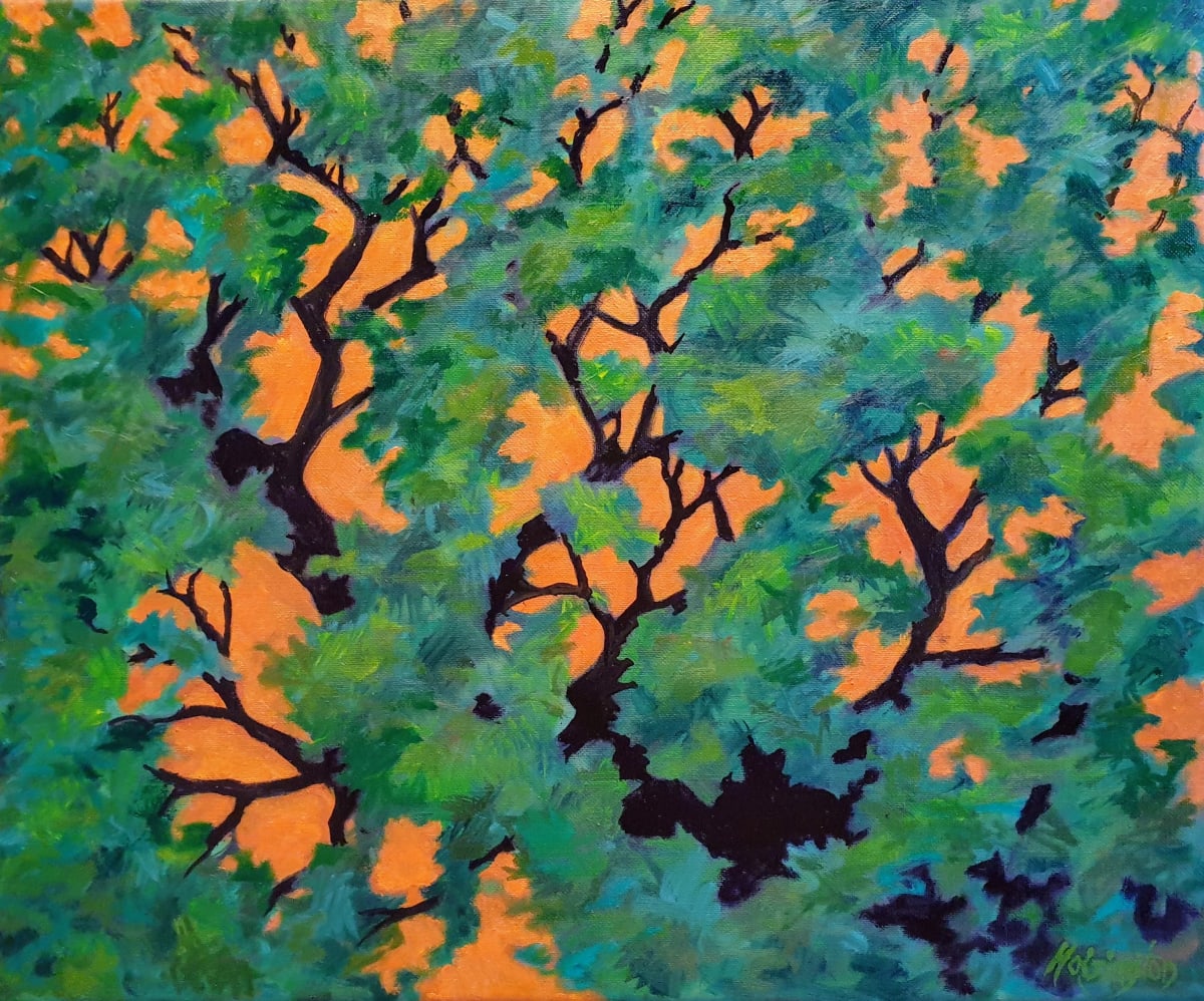 Angophora Sunset, Image 1.