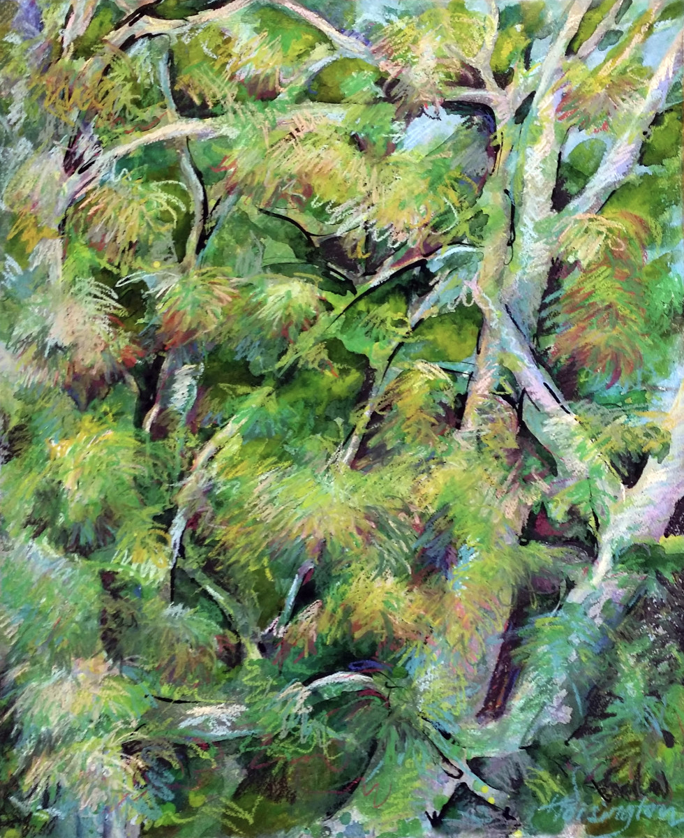 Brush & Branch, Balmoral Hillside by Kit Hoisington 