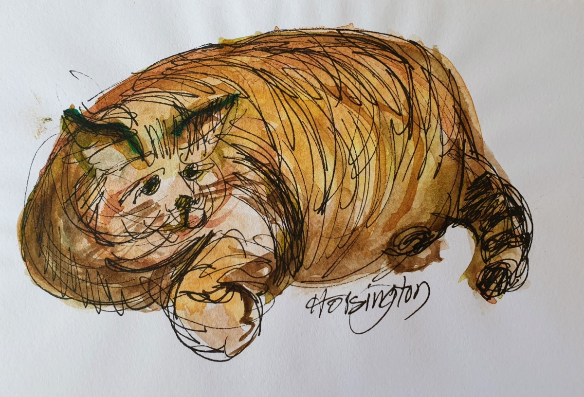 Fat Cat by Kit Hoisington 