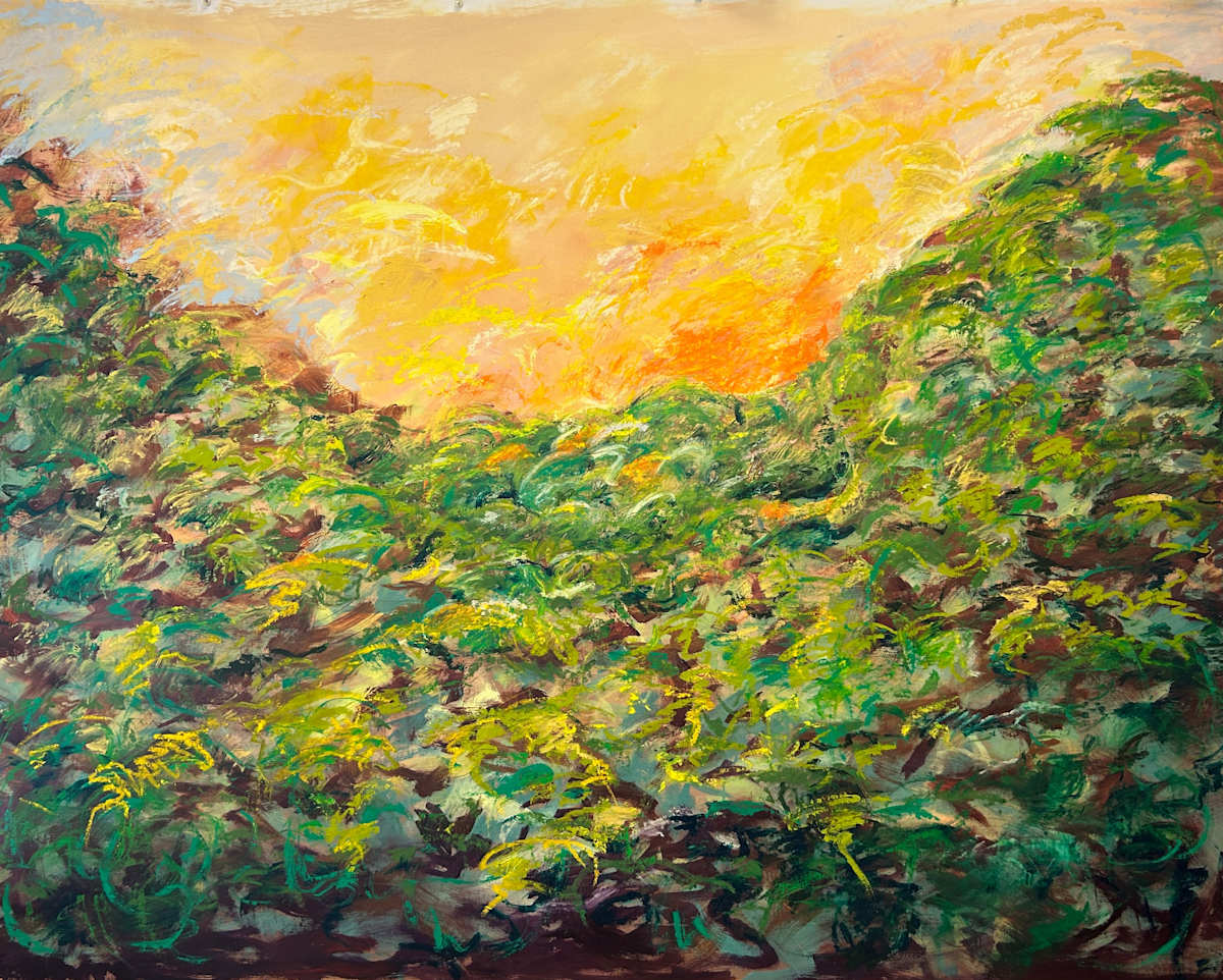 Gesture Forest at Sunrise by Kit Hoisington  Image: sent to be framed