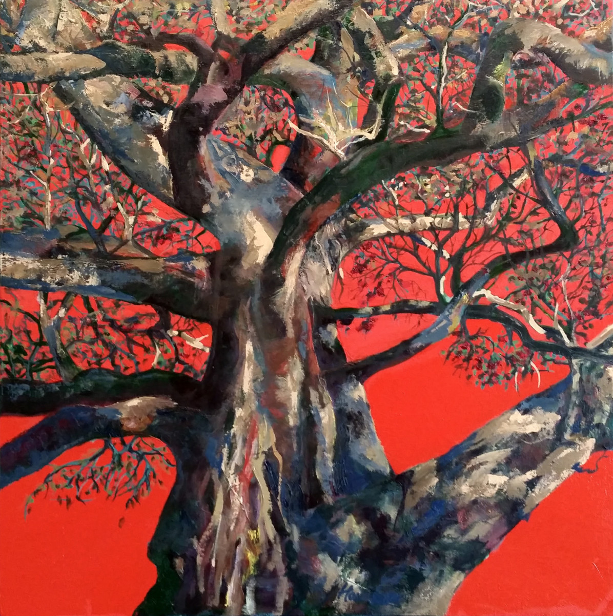 Red Sky Tree, AGNSW by Kit Hoisington 