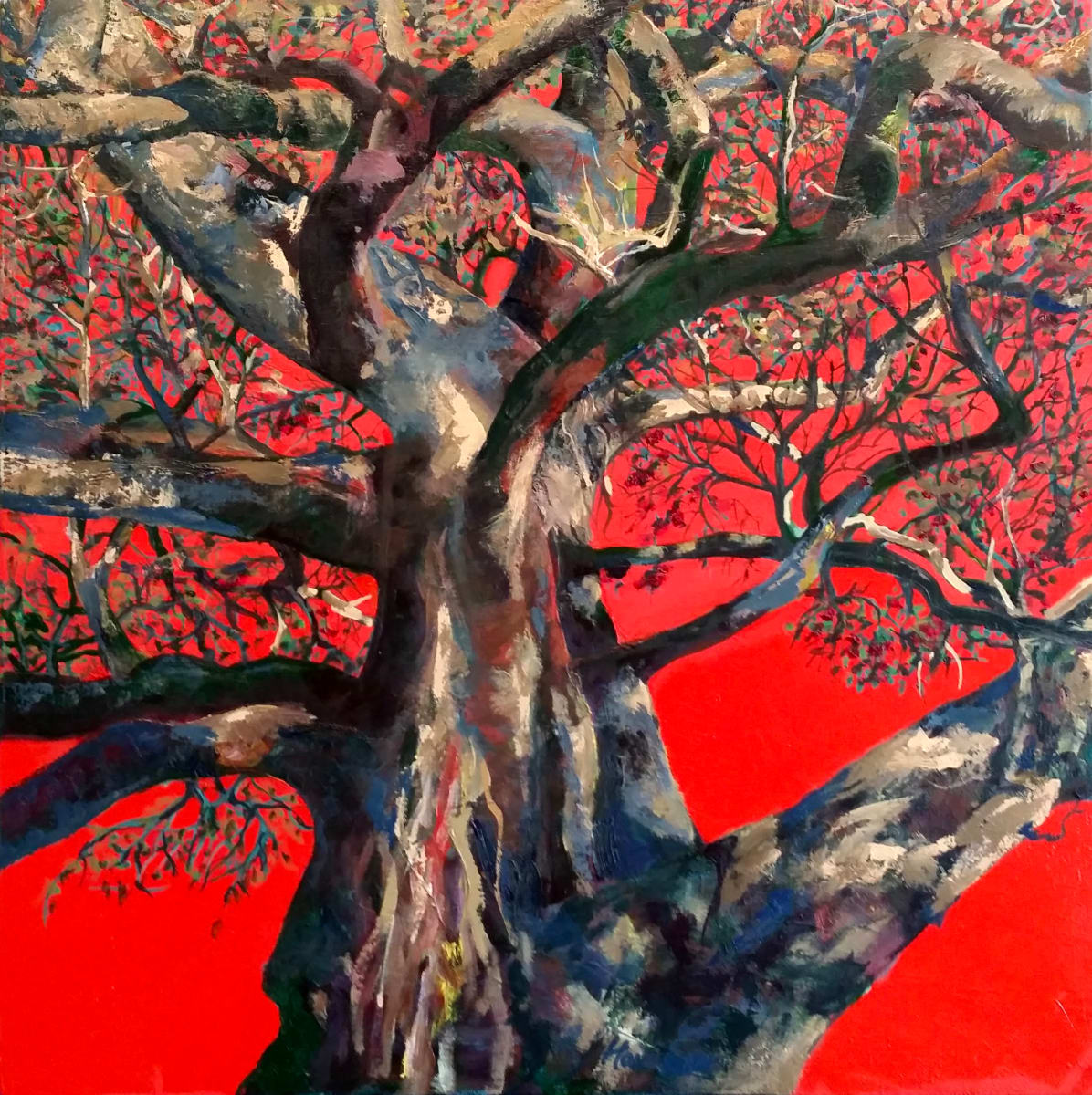 Red Sky Tree, AGNSW by Kit Hoisington, Image 1.