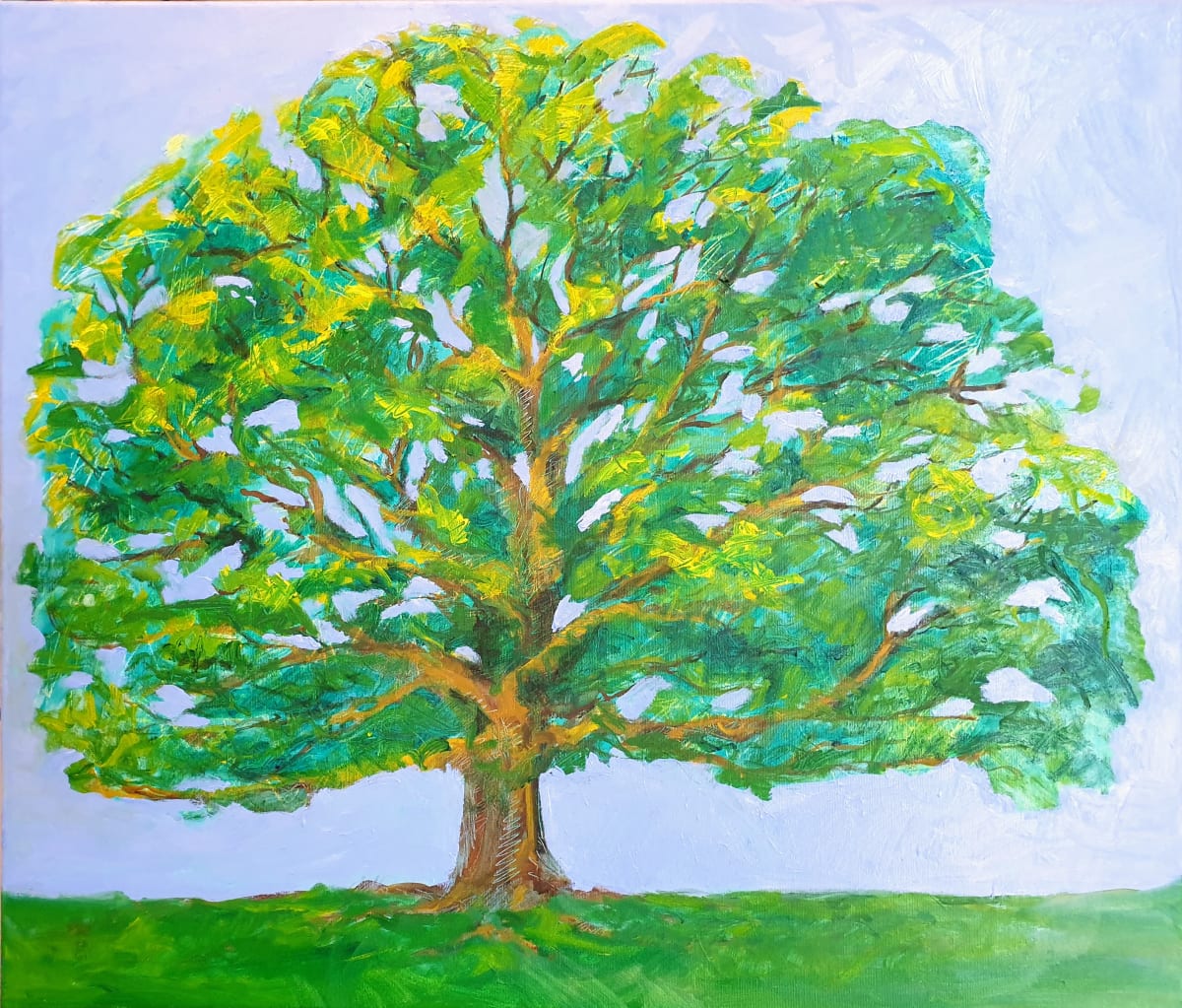 Tree Sketched by Kit Hoisington 
