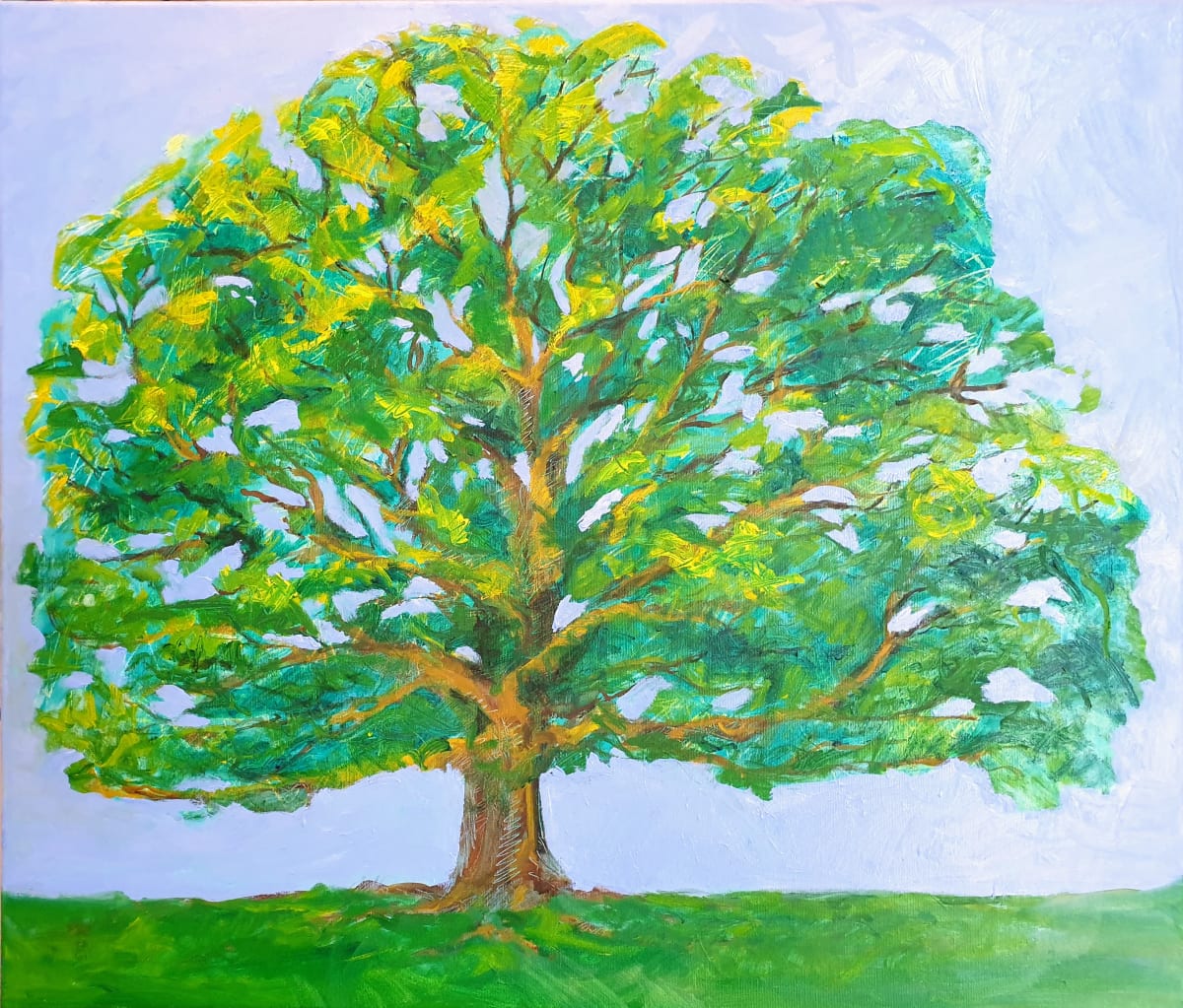 Tree Sketched by Kit Hoisington, Image 1.