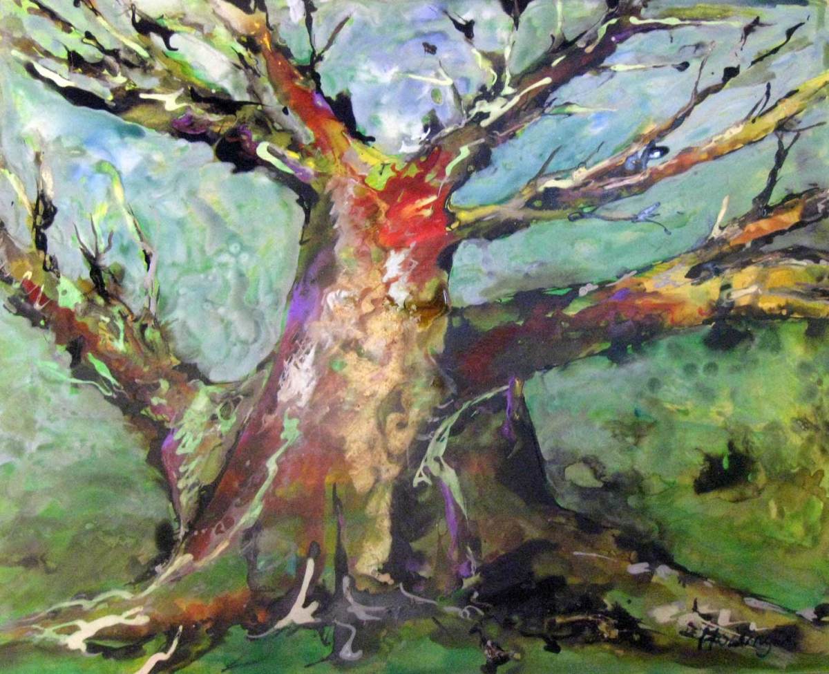 Coral Tree, Old but Alive by Kit Hoisington 