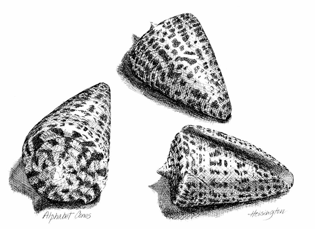 Alphabet Cones by Kit Hoisington, Image 2.