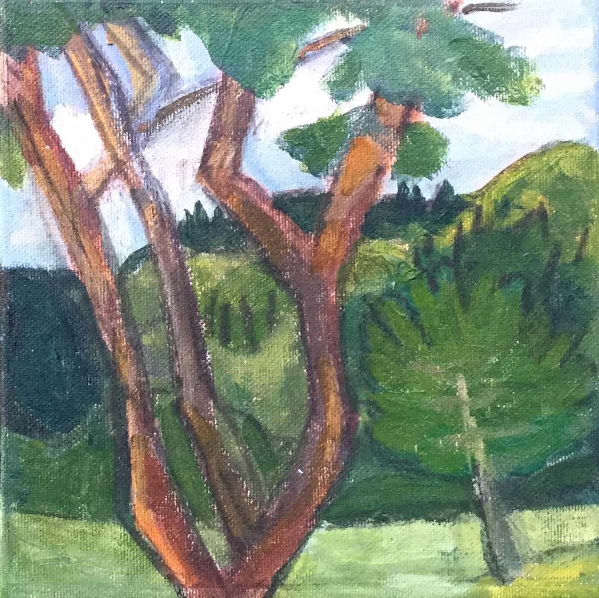 Through the Trees by Jill Randall, Image 1.