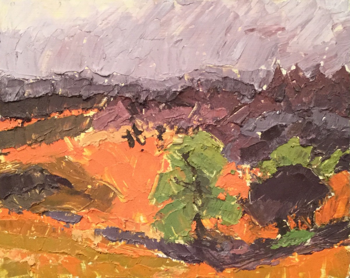 Valley view by Jill Randall 