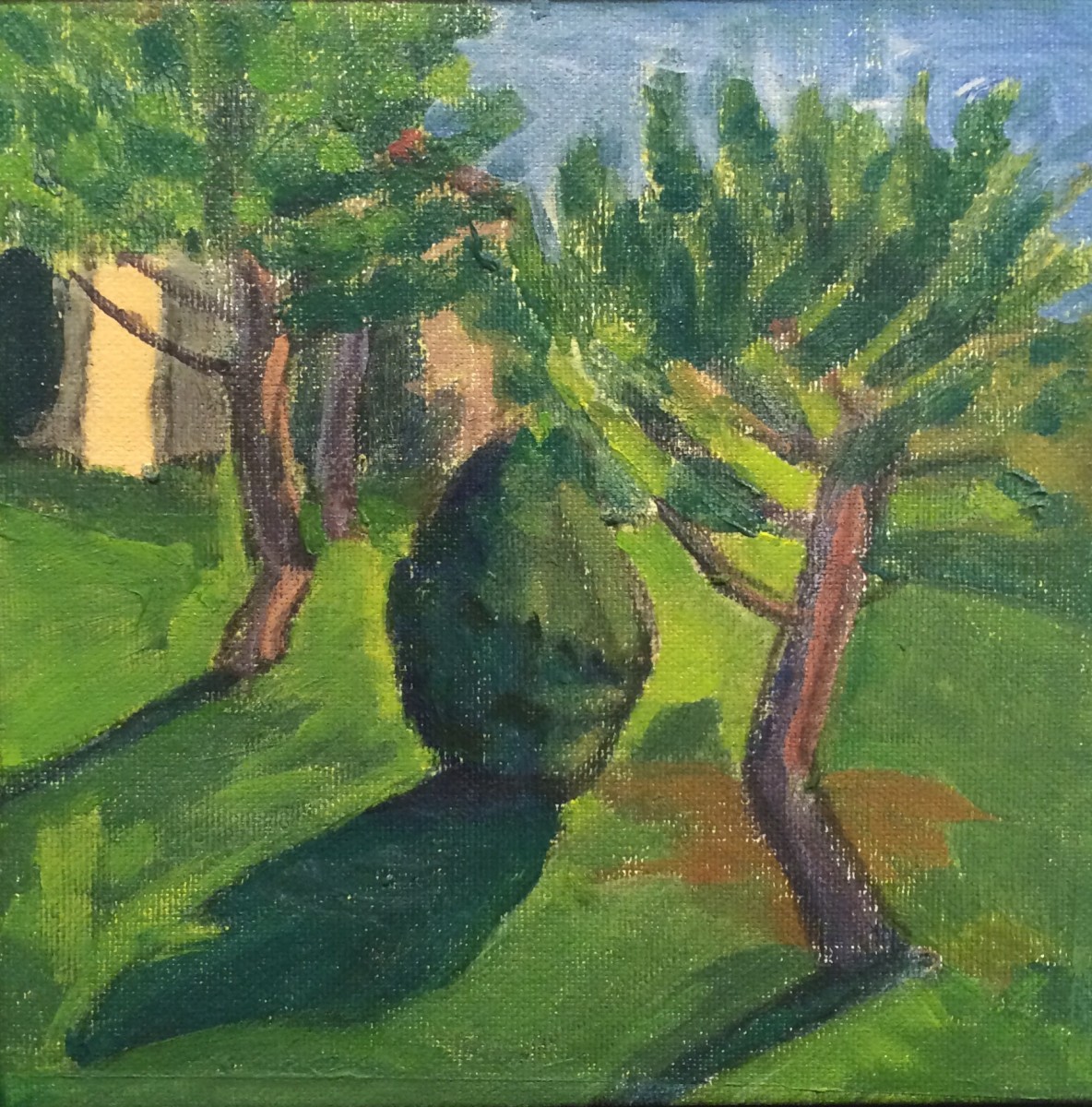 Italian trees by Jill Randall 