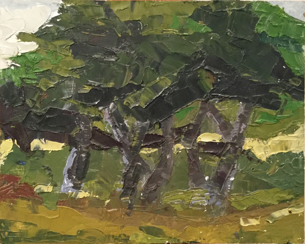 Trees at Menucha by Jill Randall 