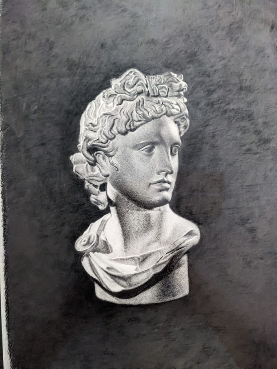 Apollo Belvedere by Cyndi Gonzalez  Image: Apollo Belvedere Bust