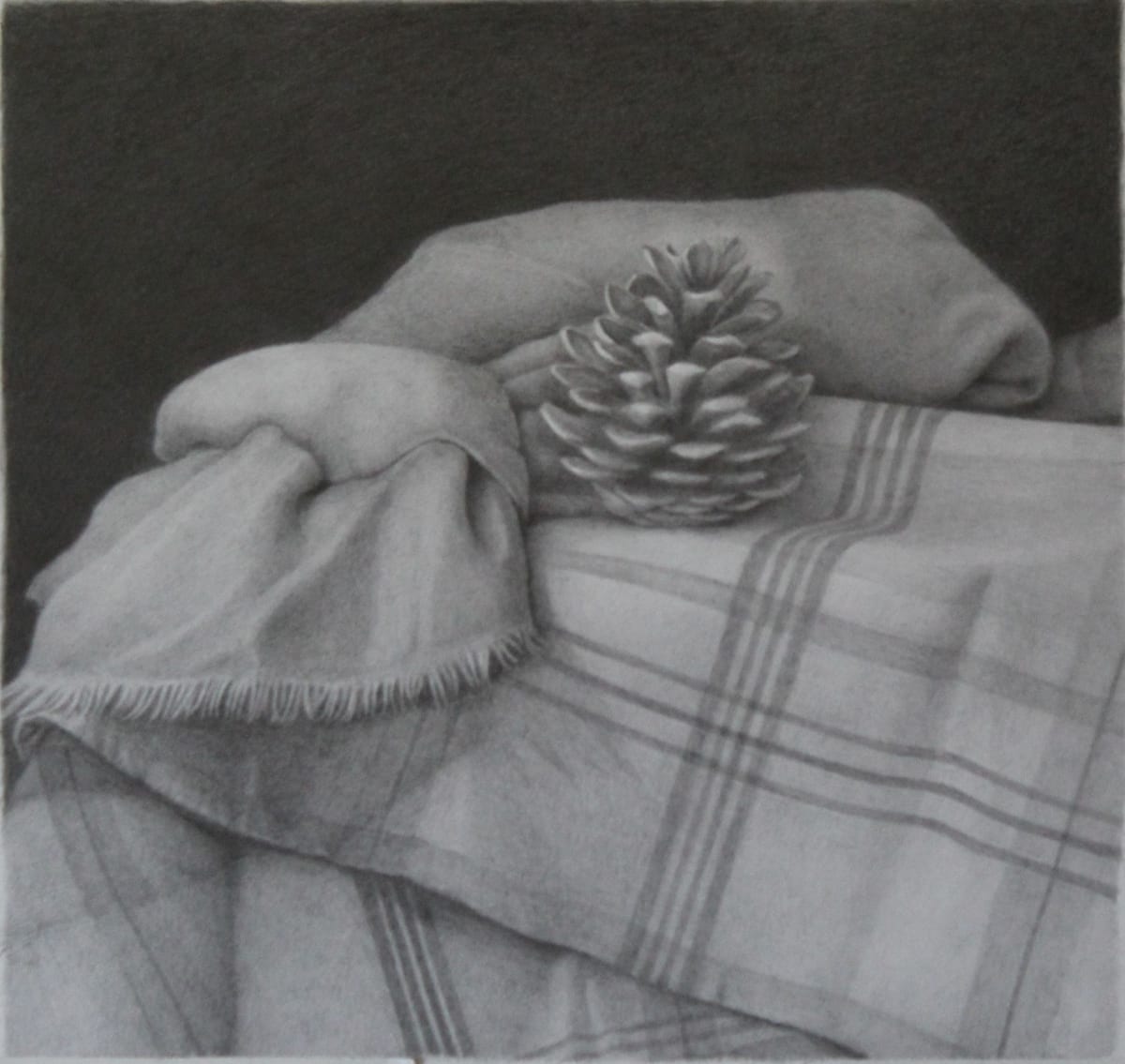Pine Cone and Shawl by Cynthia Gonzalez  Image: Pine Cone and Shawl