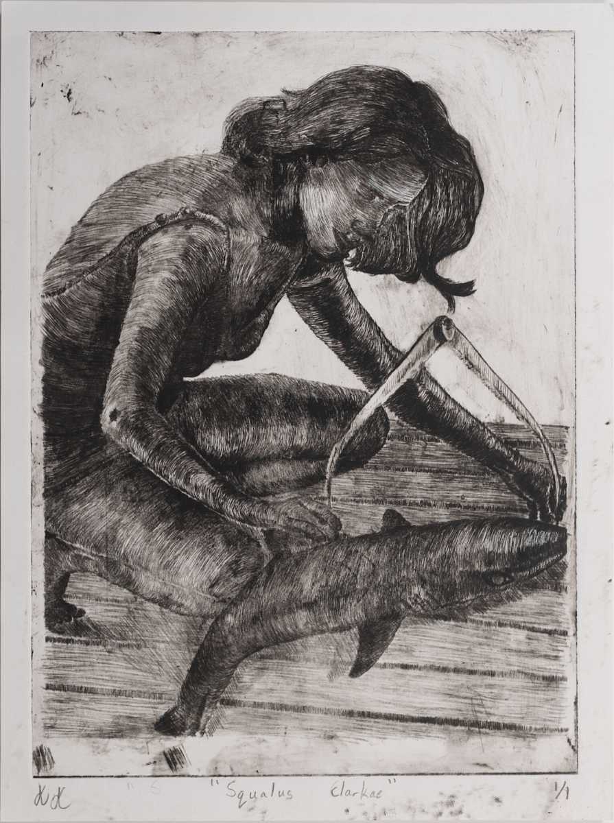 "Squalus clarkae" by Kelly Kullman  Image: $750 Certificate of Excellence 2024, Grade 12