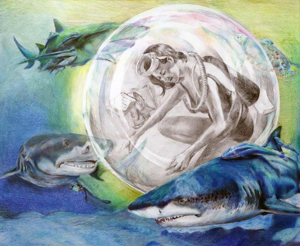 More Than Just Sharks by Allie Quan  Image: 2025 Finalist, Grade 9