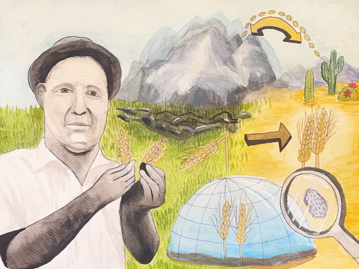 Borlaug's Innovation by Vincent Yao, Image 1.