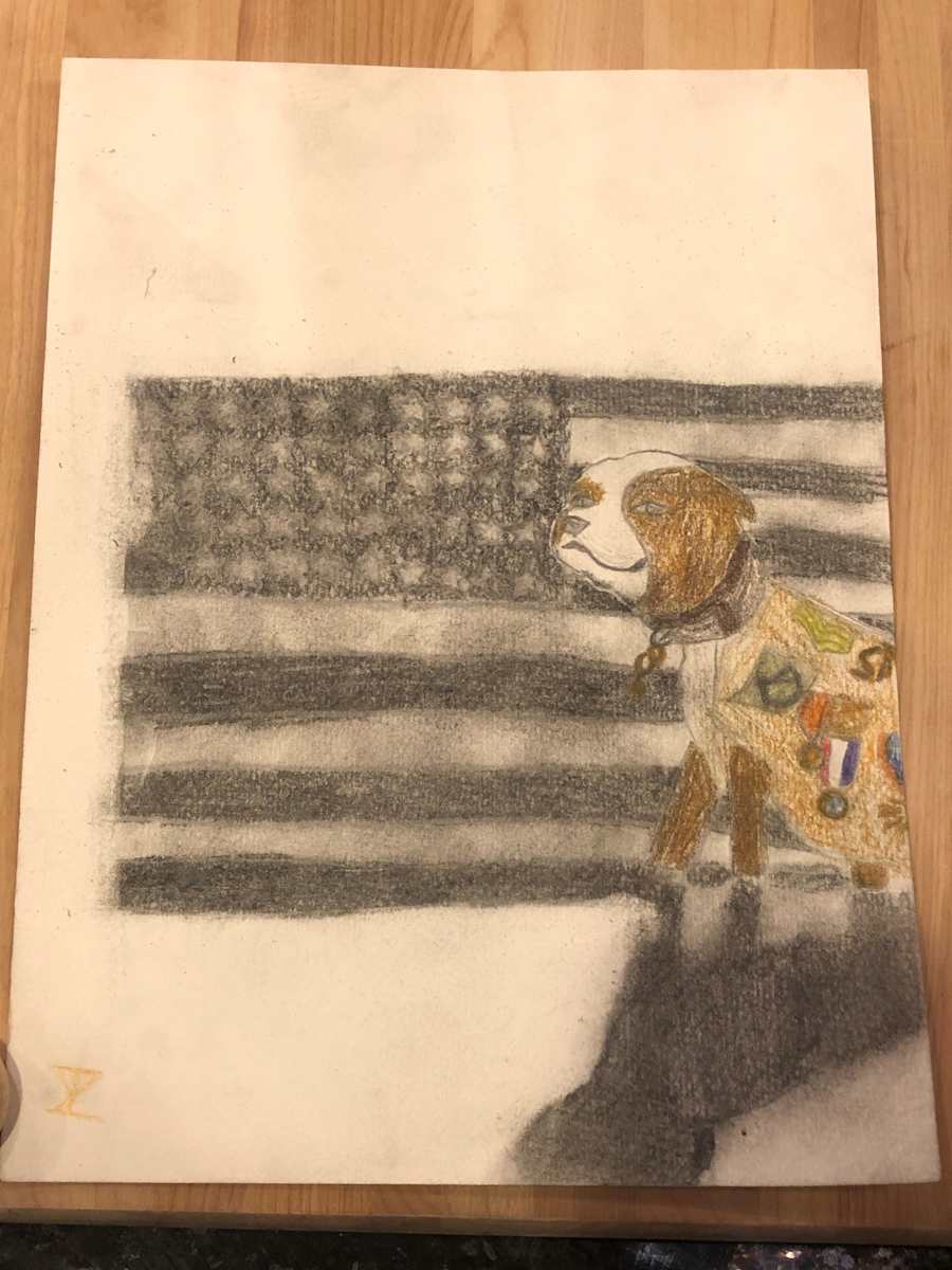 A Country's Best Friend by Isabella Capobianco  Image: 2020 Finalist, Grade 5