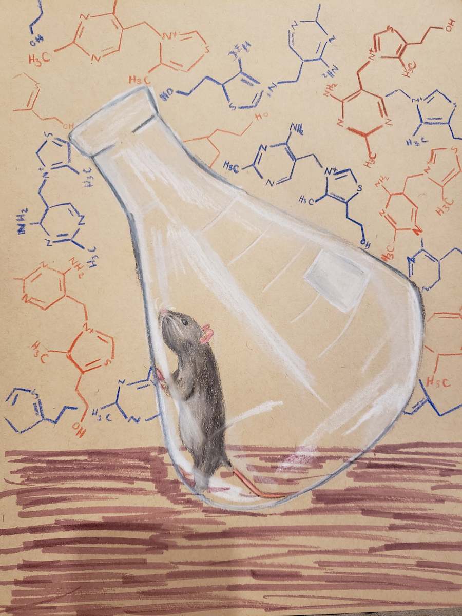 Cure for Beriberi by Aima Bhatti  Image: 2020 Finalist, Grade 12