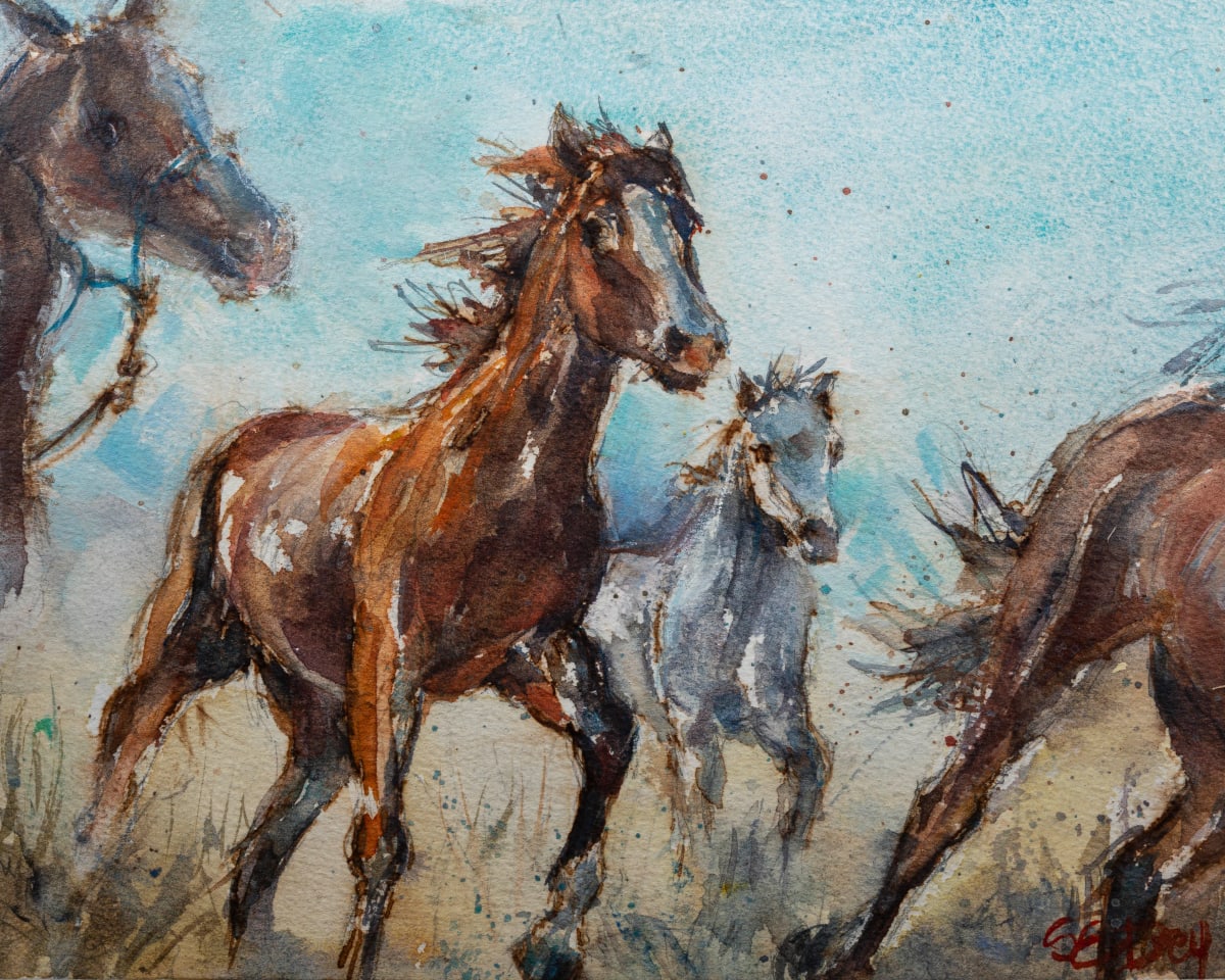 Horse Stampede #1 by Susan Drey 