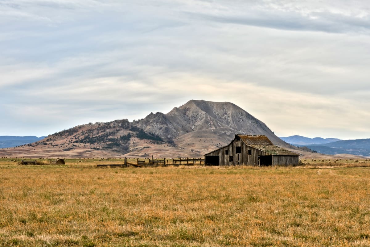 9 Mile Road by Bob Wilson 