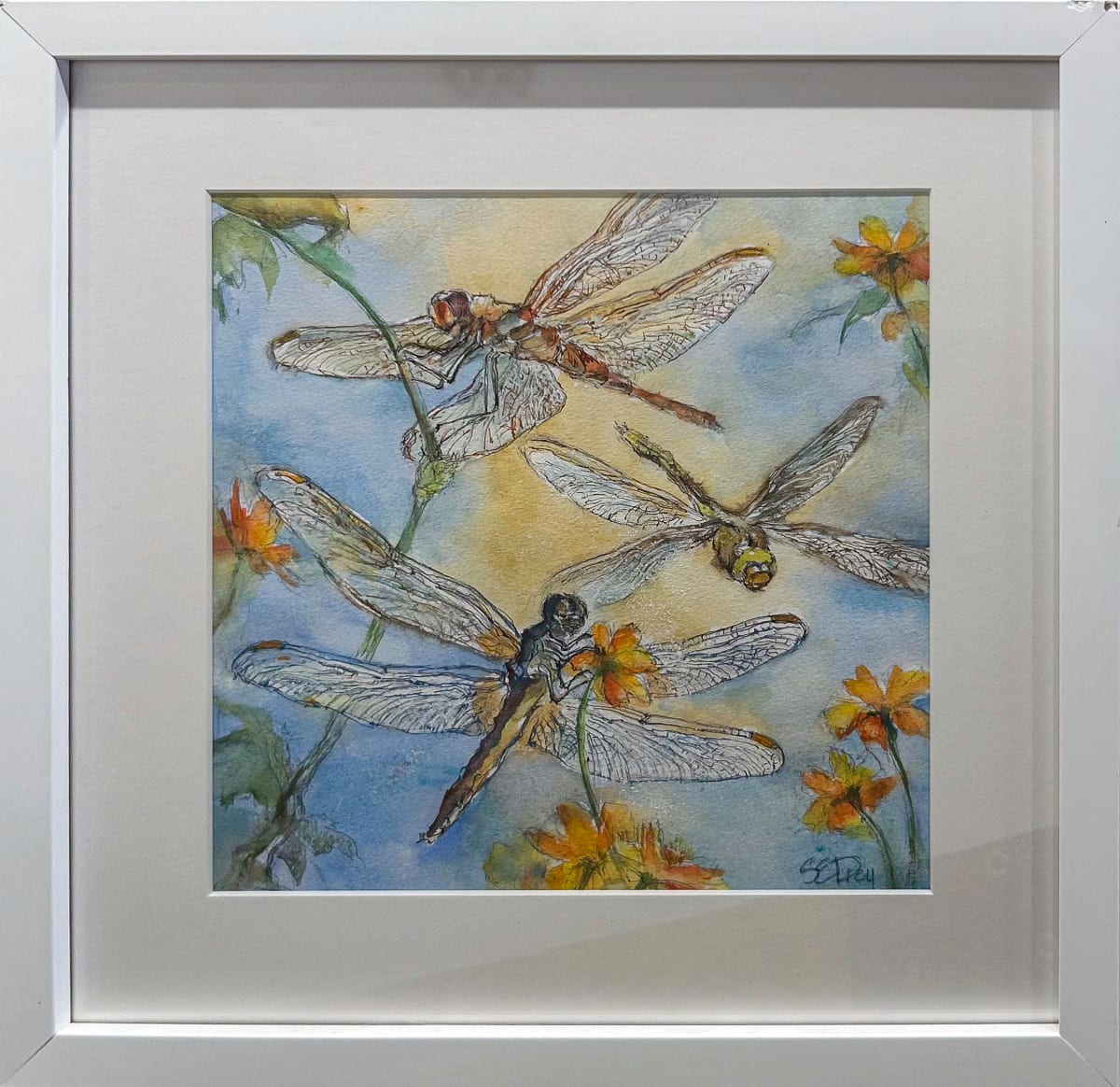 Dragonfly Dreams by Susan Drey 