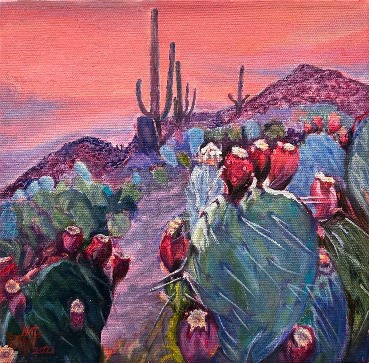 Desert Pinks by Kat Thompson 