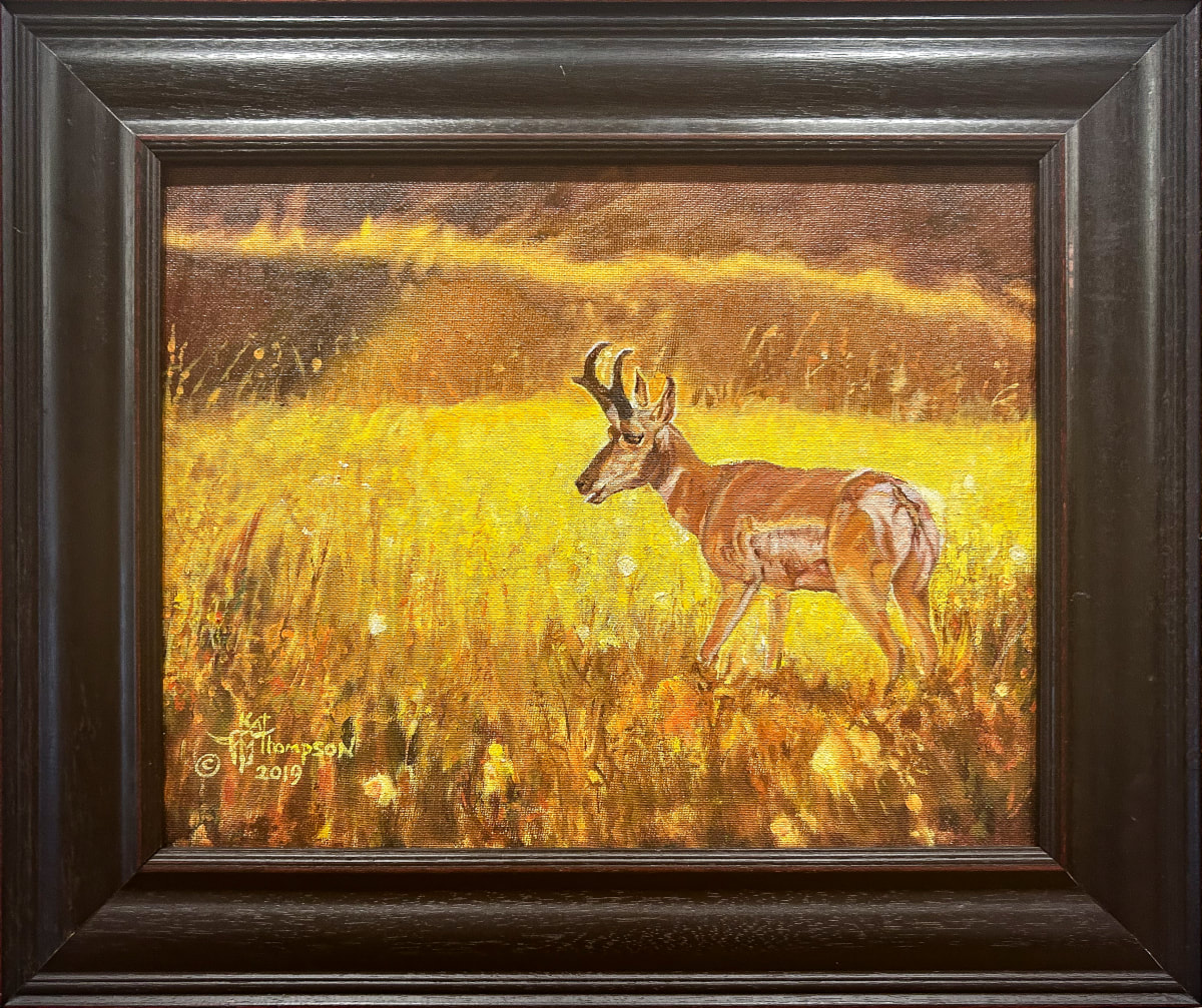 Antelope in Autumn Sun by Kat Thompson 