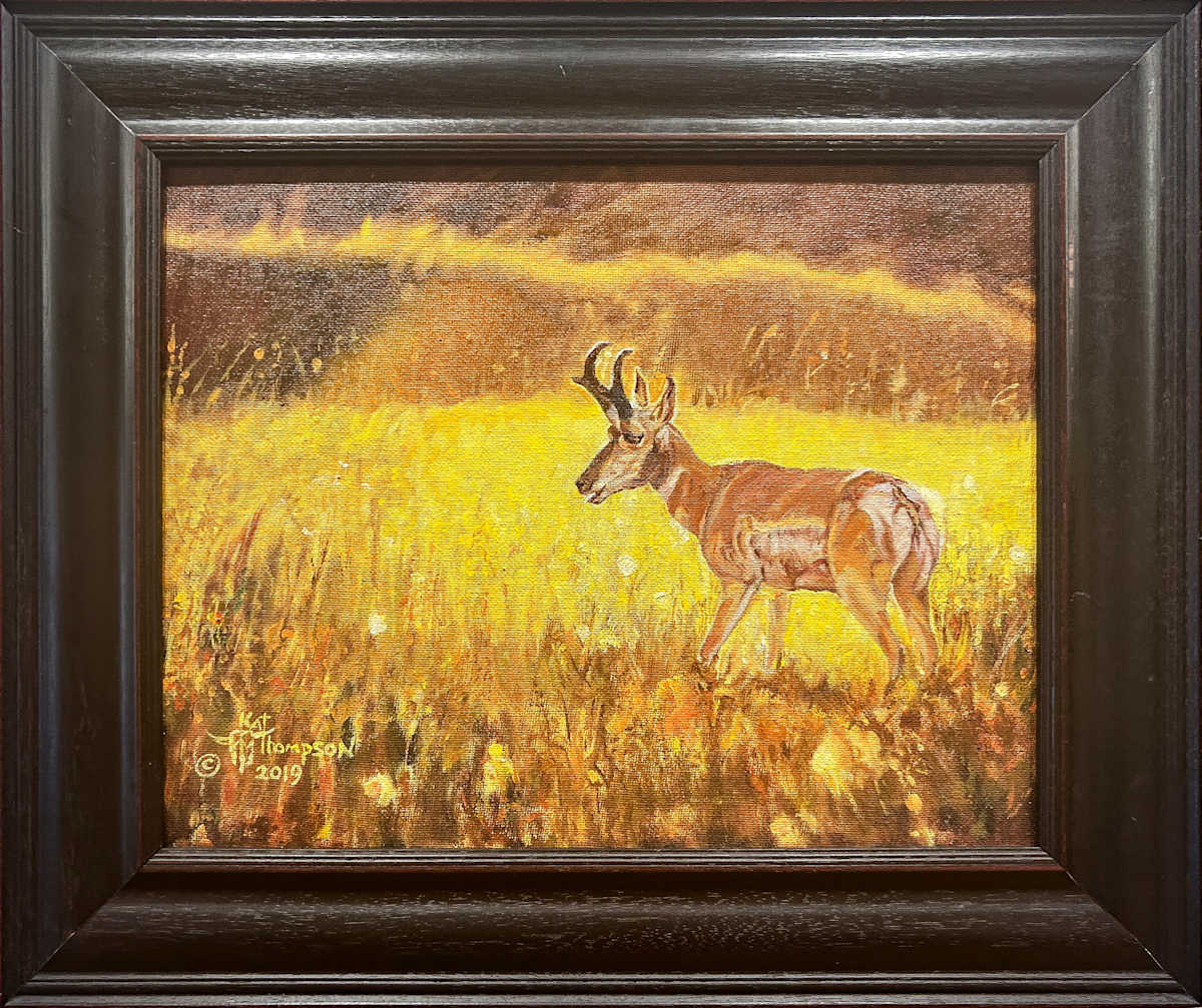 Antelope in Autumn Sun by Kat Thompson, Image 19.