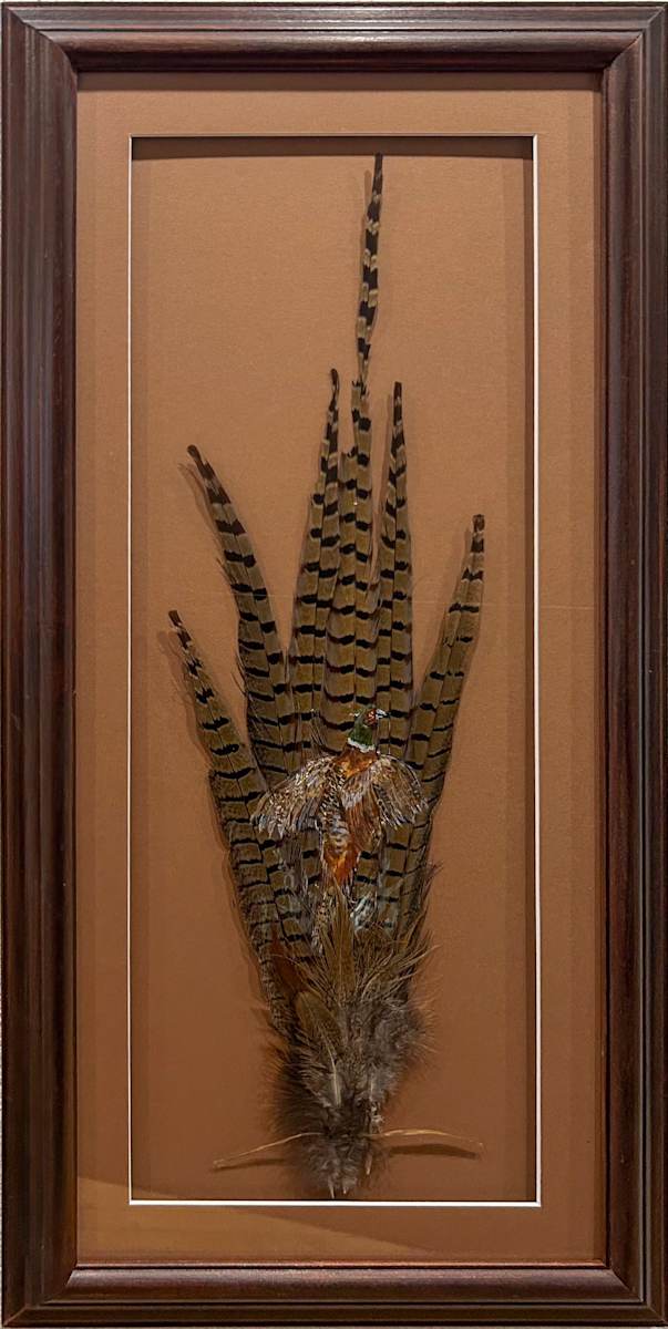 A Pheasants Tail by Diane Myers 