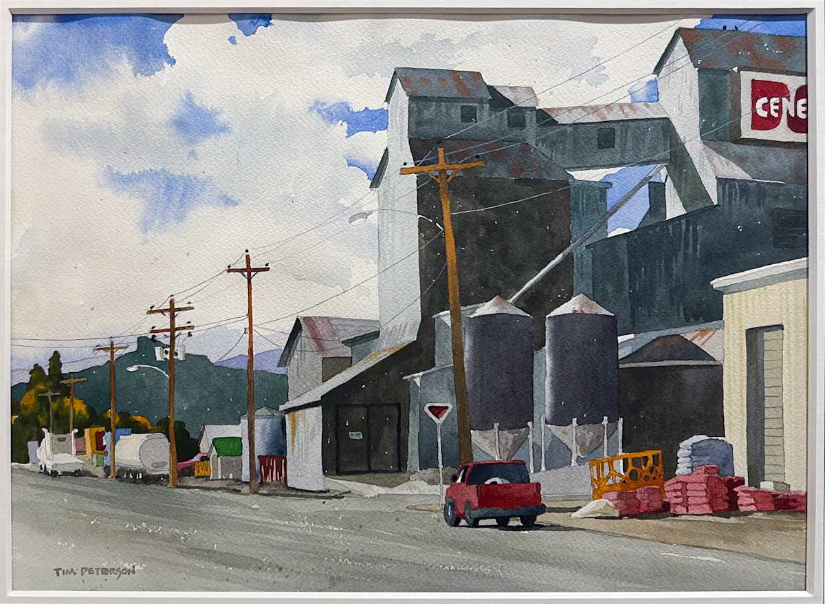 Elevations by Tim Peterson 