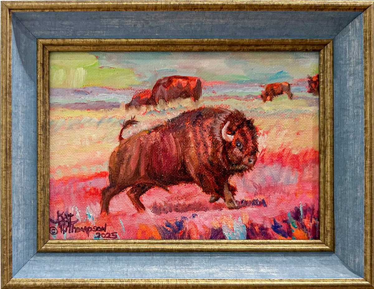 Summer Bison in Pink by Kat Thompson 