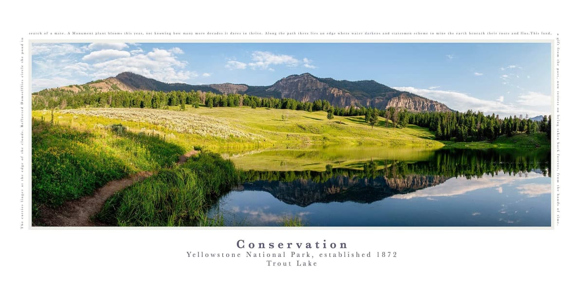 Conservation: Trout Lake -Yellowstone National Park by Christine Garceau 