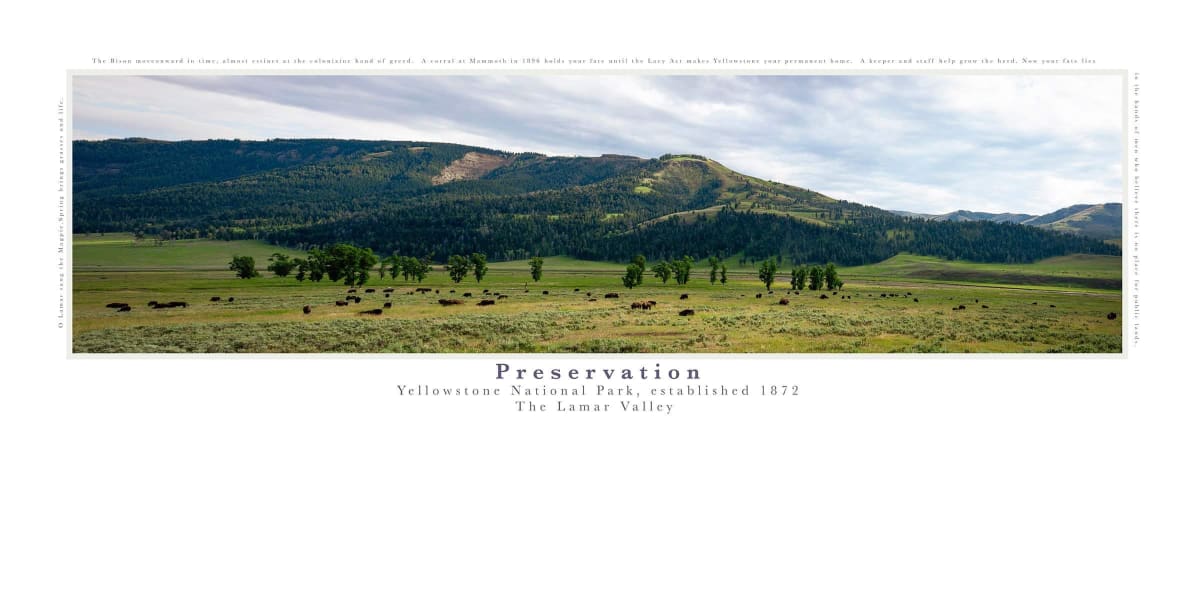 Preservation: The Lamar Valley - Yellowstone National Park by Christine Garceau 