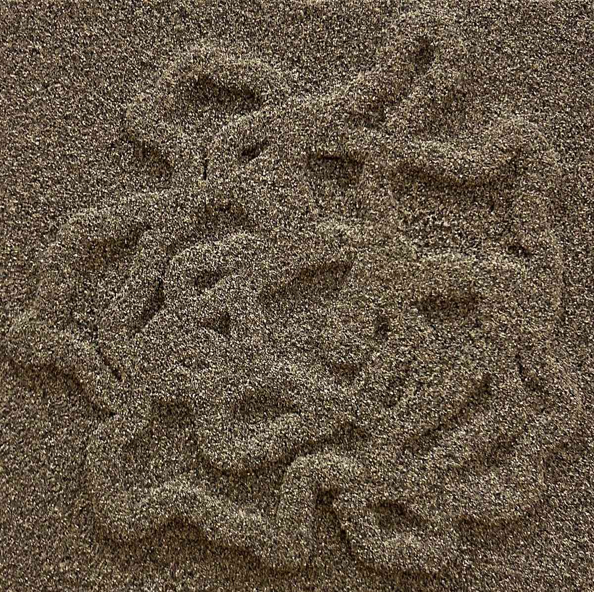 Bear Butte Tah by Quintin Owens 