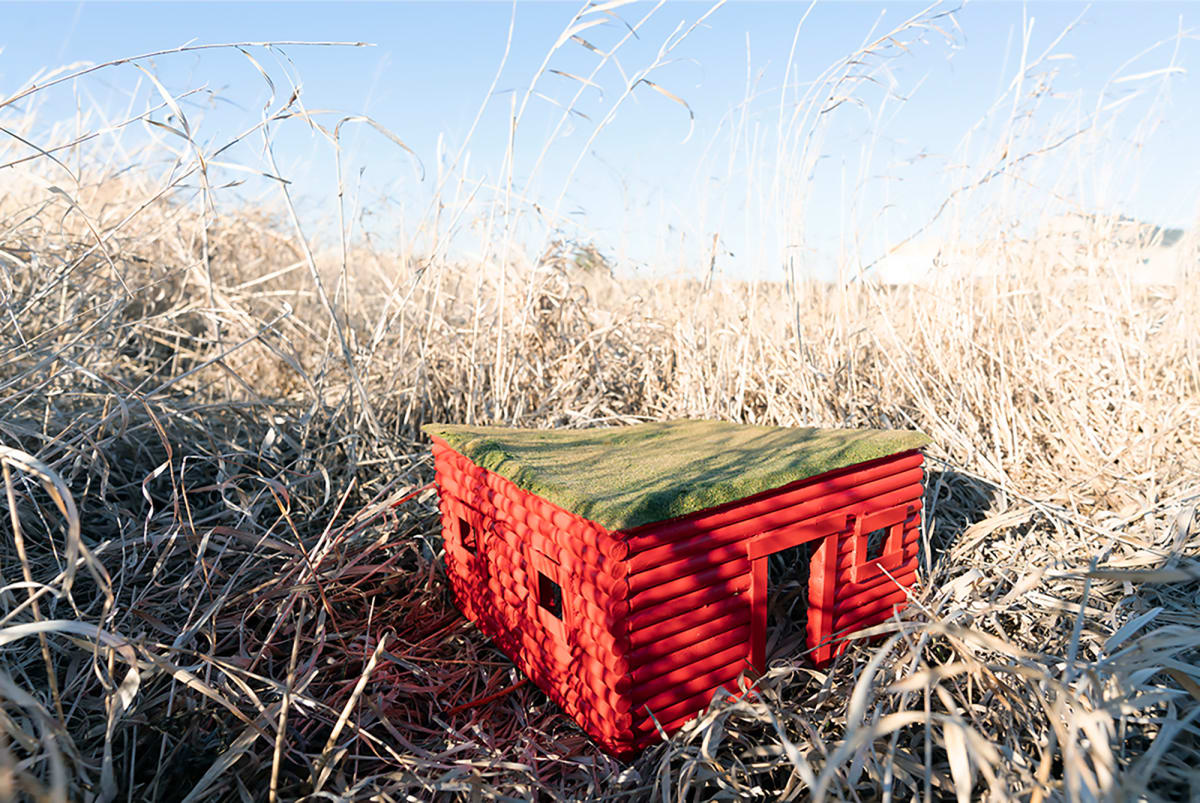 Homestead by Epiphany Knedler, Tim Rickett 